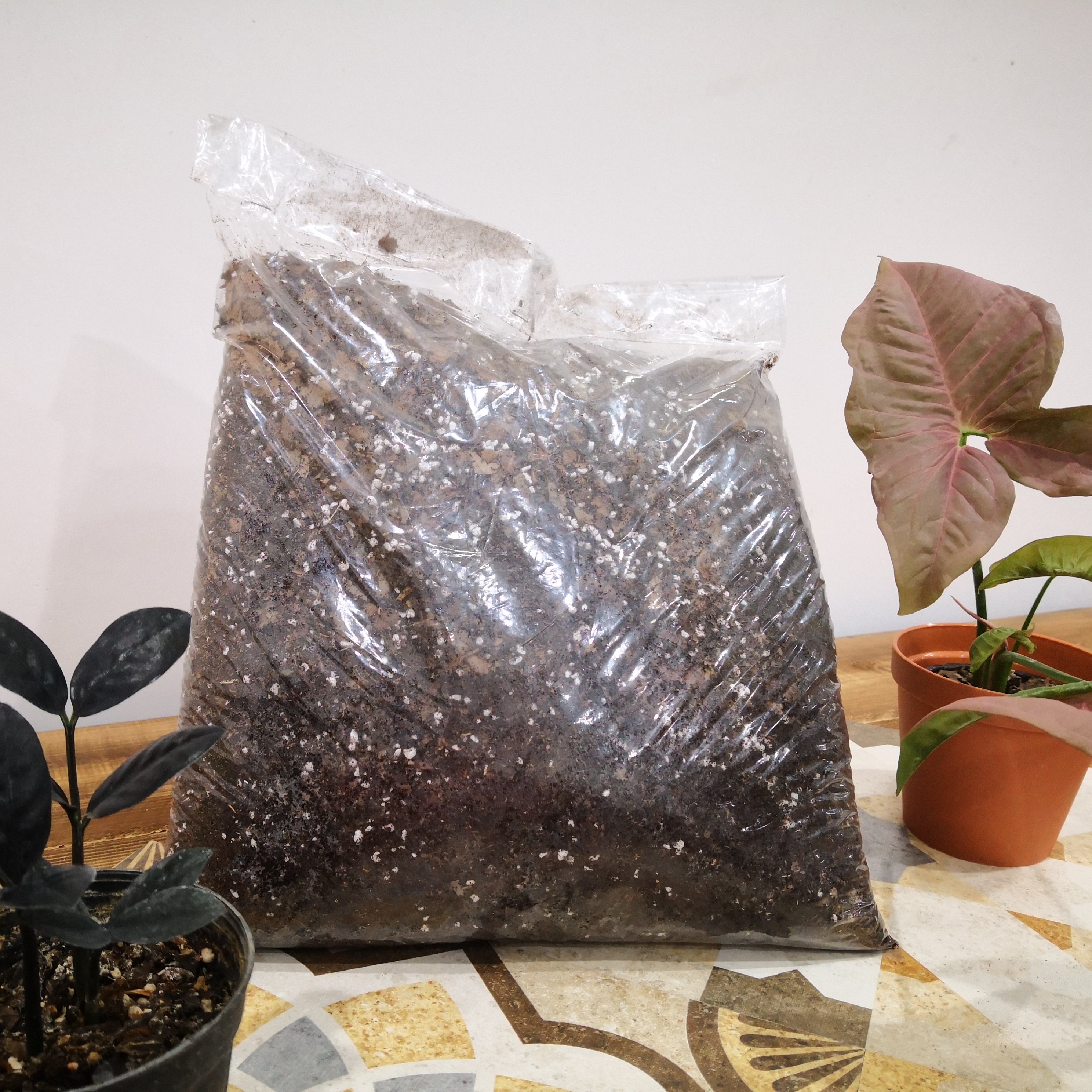 خاک آماده گیاهان آپارتمانی 5 لیتری