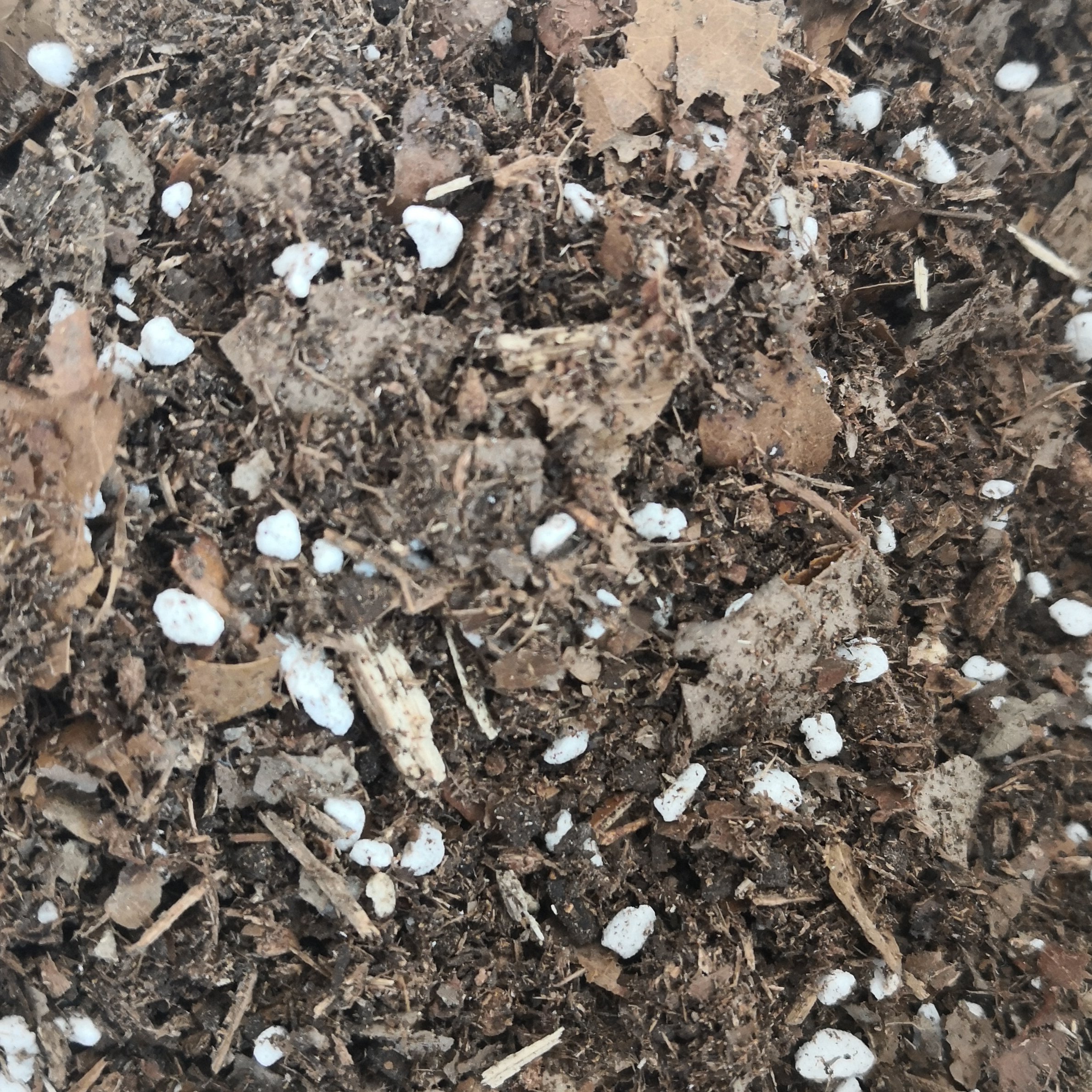 خاک آماده گیاهان آپارتمانی 5 لیتری