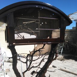 قفس ایستاده پرنده طرح کلبه جنگلی زیبا سبک روستیک فضای داخل  قفس مناسب یکجفت کاسکو بالغ براحتی  فضا برای سینی کف  دارد