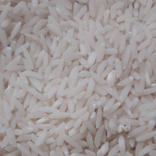 برنج طارم هاشمی فوق اعلا امساله مازندران 5 کیلوگرمی