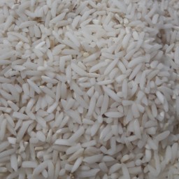 برنج سرلاشه طارم شمال درجه یک 10 کیلویی