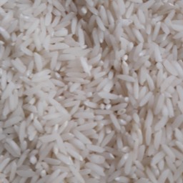 برنج طارم هاشمی امساله دو  کیلویی