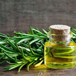 روغن روز ماری در وزن های مختلف برای پوست و مو بدون ترکیب شیمیایی و کاملا طبیعی 