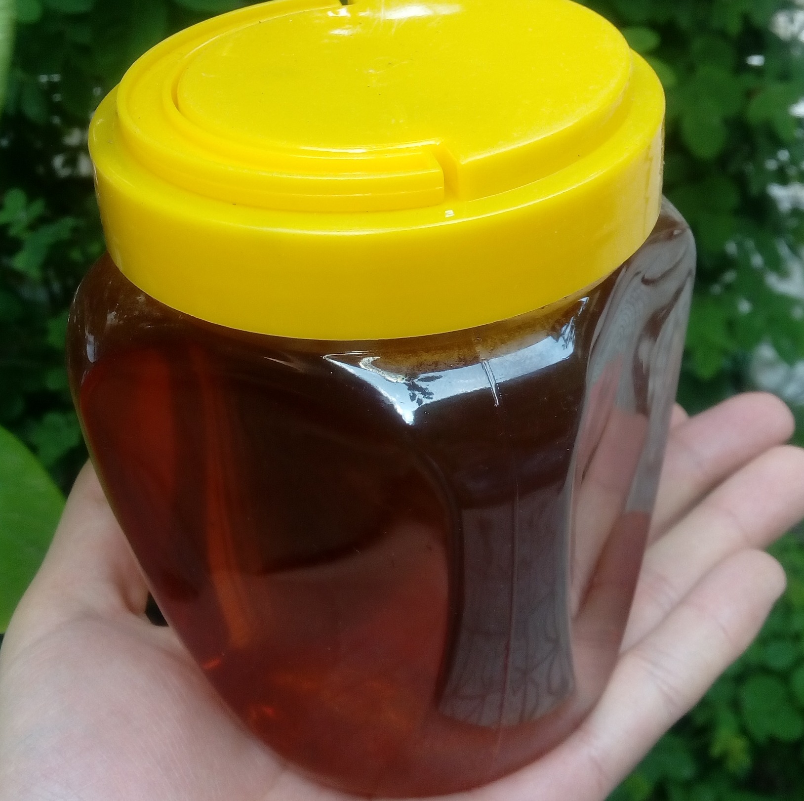 عسل گون طبیعی محصول لرستان (غرب کشور) یک کیلویی