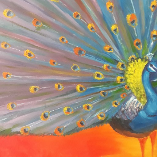 عشق طاووس