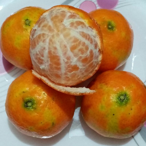 نارنگی برگ ریز (5 کیلو گرم) ارسال با تیپاکس