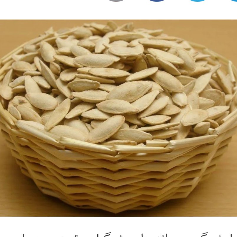 تخمه کدو مشهدی طعام البرکت کد289