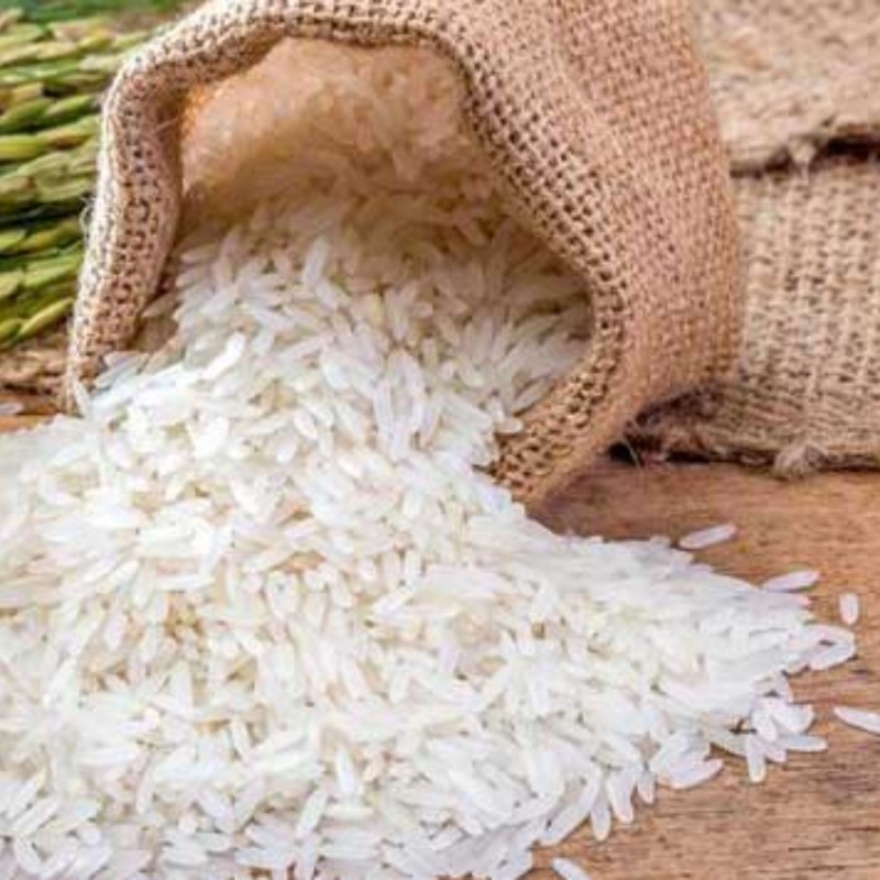برنج طارم شمال با ارزان ترین قیمت