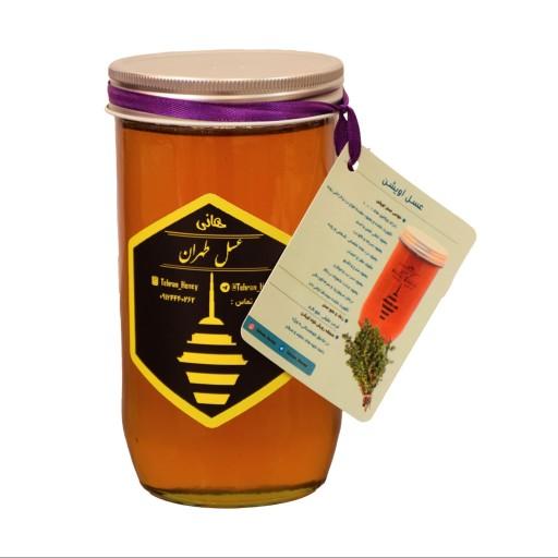 عسل طبیعی آویشن یک کیلویی ((عسل طهران))