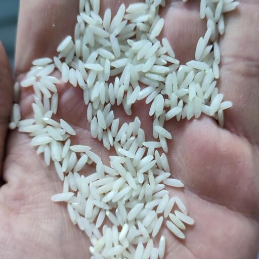 برنج فریدونکنار کشت دوم بینام( محصول جدید)فوق العاده خوش عطرونرم وخوشپخت(برنج غلامی فریدونکنار)