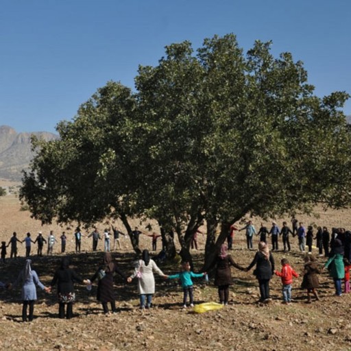 شیره گزو خالص سنتی کوردستان(330گرم)