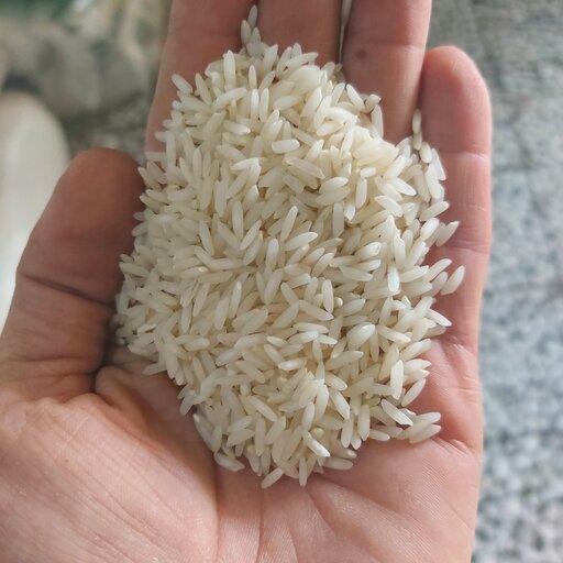 برنج کشت دوم امرالهی اعلا