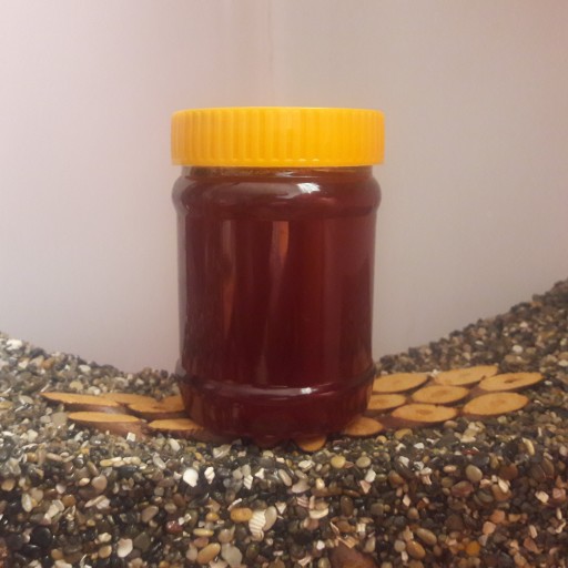 عسل جنگلی( وحشی) 500 گرمی غرفه انگبین