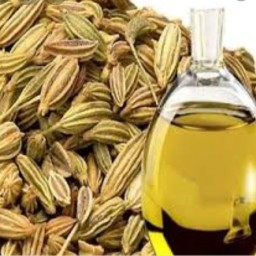 روغن رازیانه (ارسال رایگان) 60 سی سی