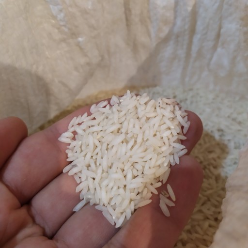 برنج طارم احمدی ( کشت دوم)