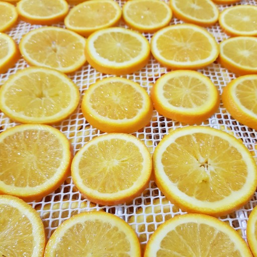 پرتقال تامسون خشک 50 گرمی