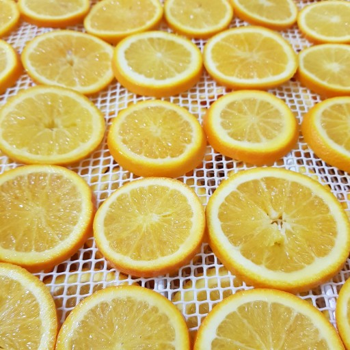 پرتقال تامسون خشک 250 گرمی
