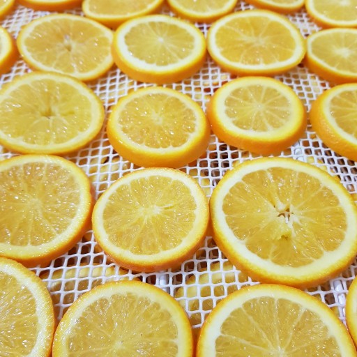 پرتقال تامسون خشک 500 گرمی