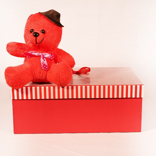 ست هدیه عروسک خرس مدل 2002