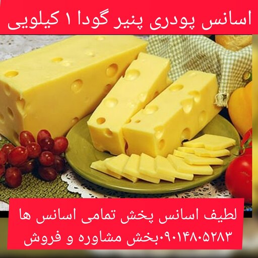 اسانس پودری پنیر گودا 1 کیلویی طعم دهنده قوی 