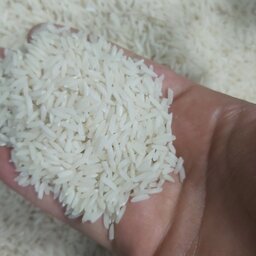 برنج شیرودی مازندران  تمام دانه 