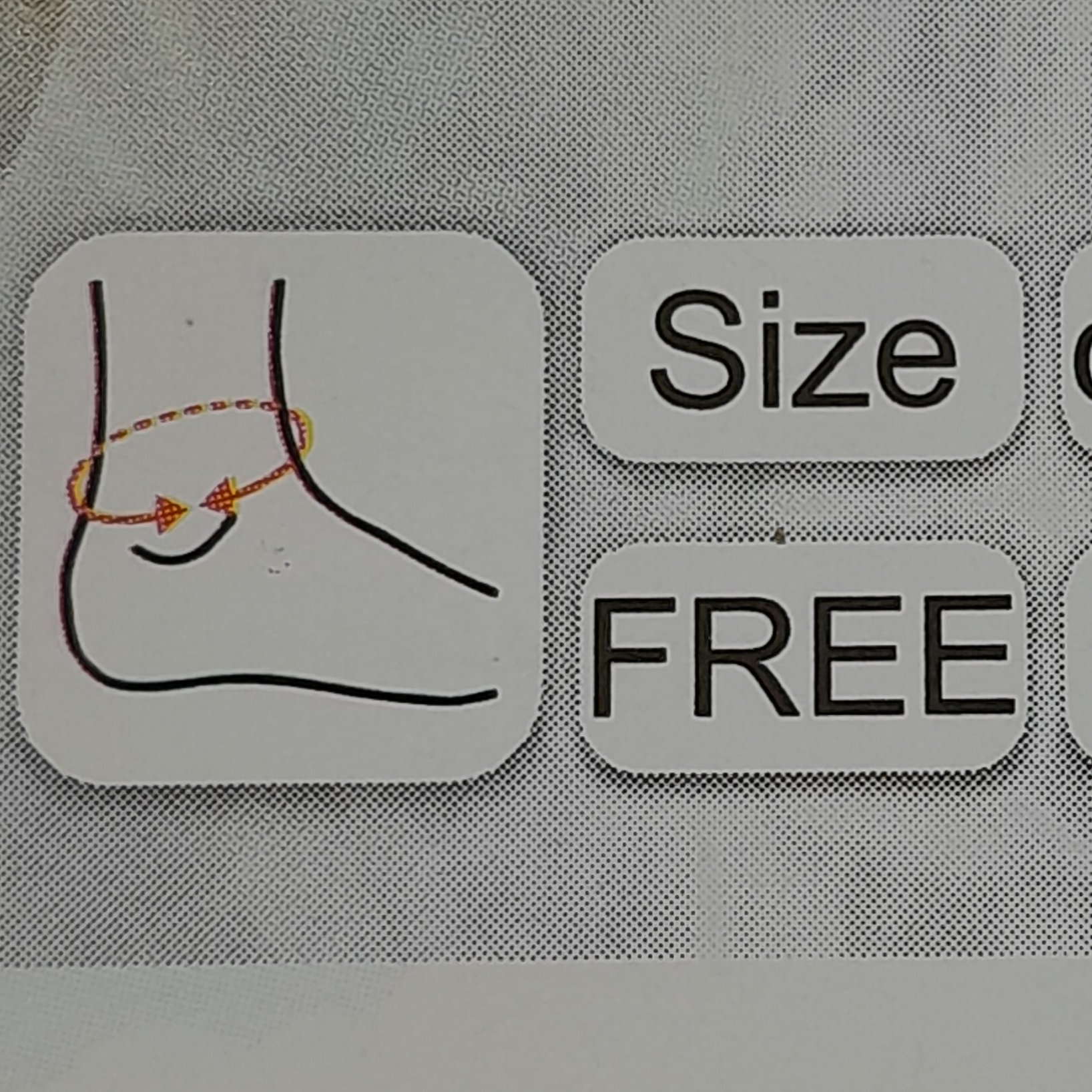 قوزک بند کشی همراه با کش لیگامان سماطب پاکان مدل 6048 فری سایز  تک عددی