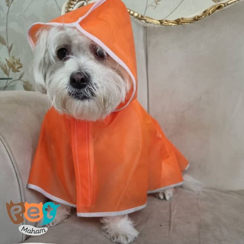 کاور بارانی سگ و گربه و حیوانات خانگی لباس سگ و گربه رنگ نارنجی و فسفری