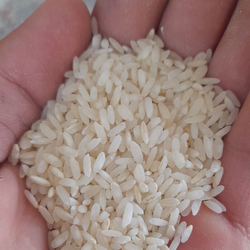 برنج کامفیروز 30کیلویی خرید مستقیم از کشاورز ارسال باربری 