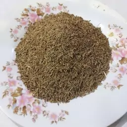 زیره وحشی معطر درجه یک چهارگل چهارمحال وبختیاری(100گرمی)پاک وتمیز