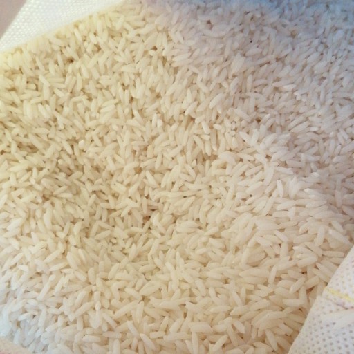 برنج طارم صدری اعلا درجه 1