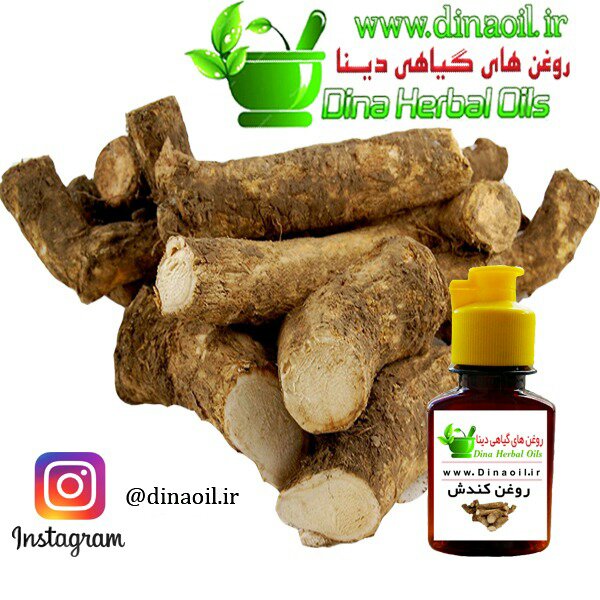 روغن کندش دینا اصل