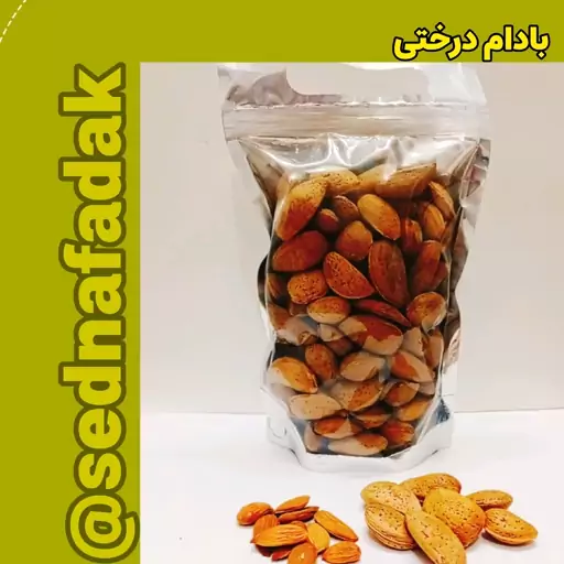 بادام سنگی ارگانیک