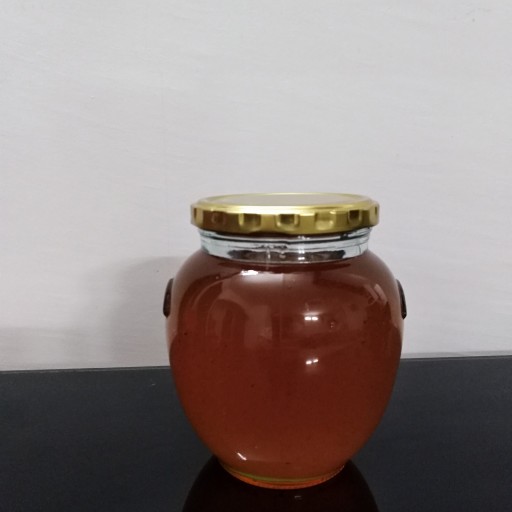 عسل کوهی استخدوس ممتاز رنگ تیره شهد نوش (نیم کیلویی)