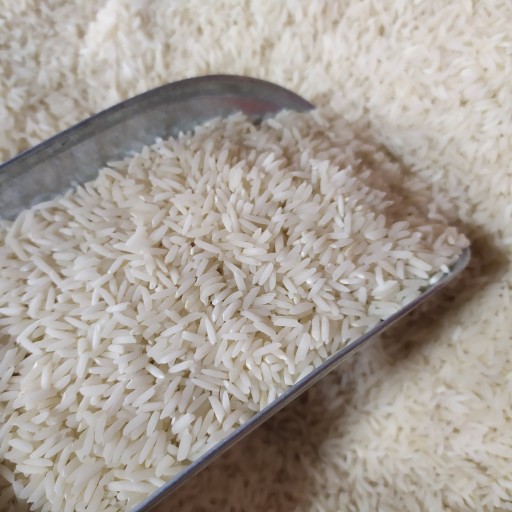 برنج صدری سورت شده