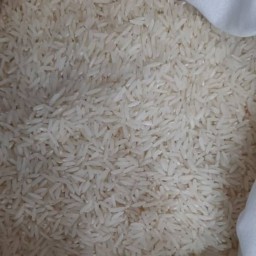 برنج طارم محلی✔️10کیلویی✔️
ارسال رایگان