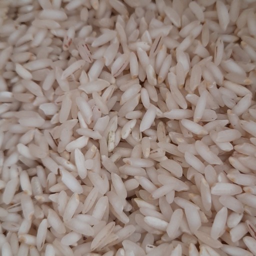 برنج چمپا درجه 1