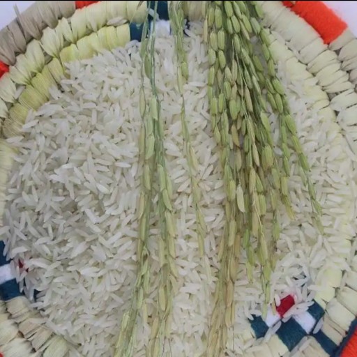 برنج گیلمرد(ده کیلویی)