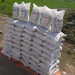 برنج شیرودی فریدونکنار   (کیسه 10 کیلویی) از  شالیزهای شمال باتخفیف 