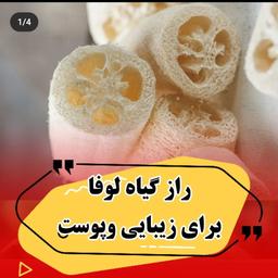 لیف گیاهی لوفا تهیه شده از گیاه لوفا