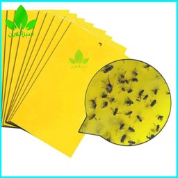 کارت زرد جذب کننده حشرات 10عددی (چسب زرد جذب حشرات) 