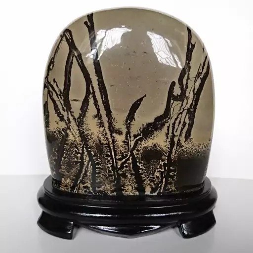 سنگ راف جاسپر منظره معدنی نایاب (Picture Jasper)