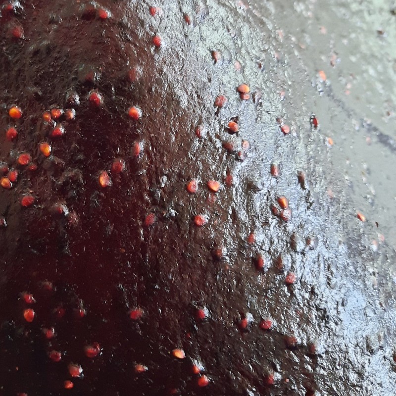 لواشک شاه توت خانگی و آلوی قرمز  1000 گرمی دانه دار طبیعی و بهداشتی