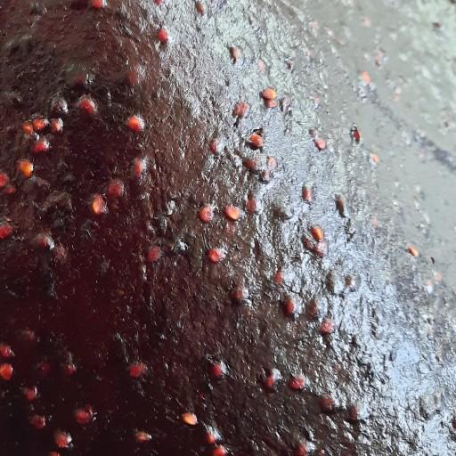 لواشک شاه توت خانگی و آلوی قرمز دانه دار کاملا طبیعی و بهداشتی 500 گرمی