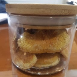 قارچ گانودرما خالص پرورشی  سالم (آسیاب نشده 300گرمی)