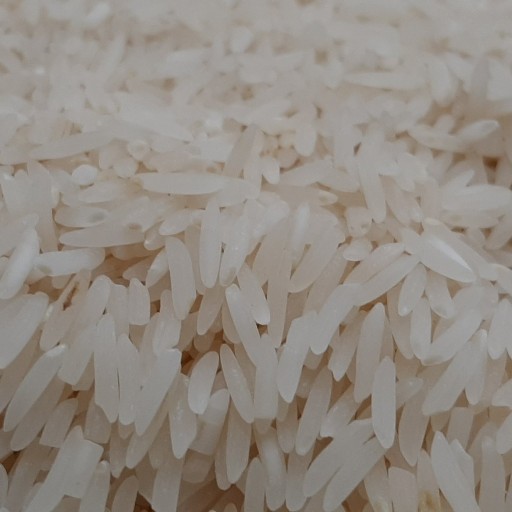 برنج طارم محلی پارساله فریدون کنار عطری فوق ممتاز (10 کیلویی) ارسال بار رایگان
خوش پخت و عالی