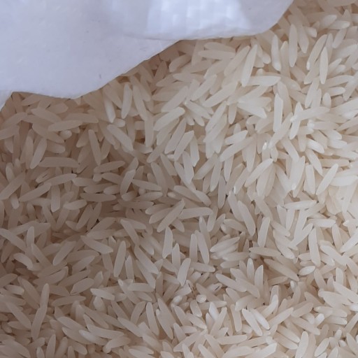 برنج طارم فجر استخوانی(10کیلویی)
ارسال رایگان