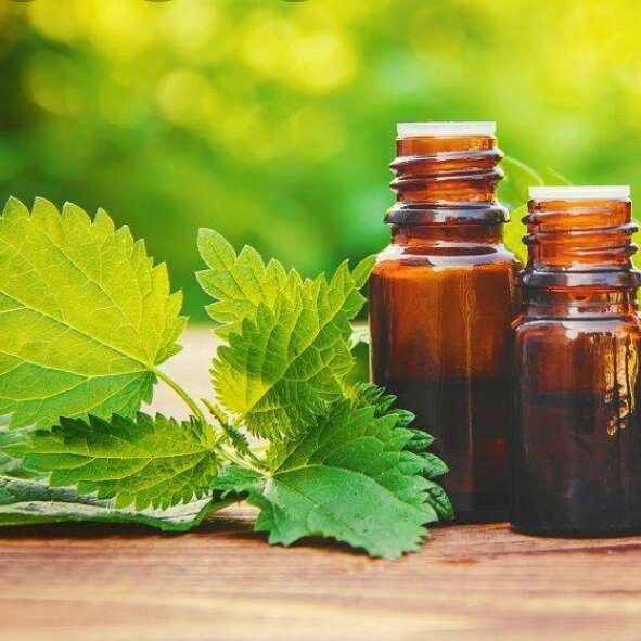 روغن گزنه 60 cc