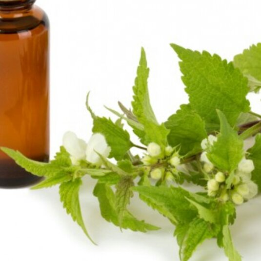 روغن گزنه 60 cc
