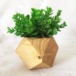 گلدان چوبی شمشاد مدل هشت ضلعی