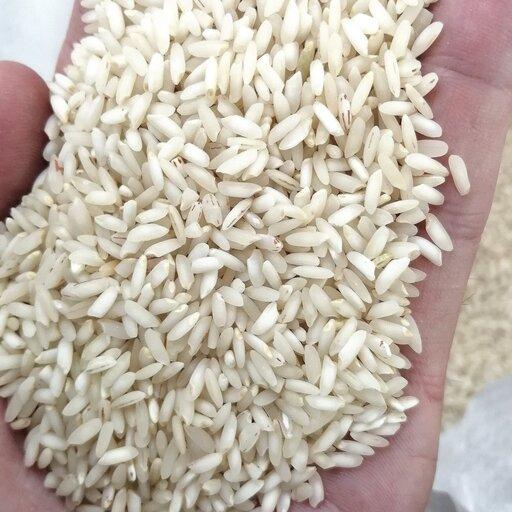 برنج عنبر بو 20 کیلو بخرید ( سود ببرید) 